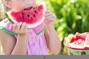 吃瓜擦脸,揭秘娱乐圈的清新日常  第1张